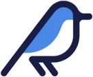 بلوسرور